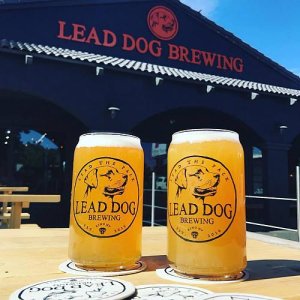 Lead Dog Brewing Taproom