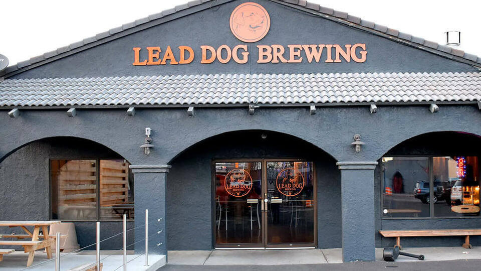 Lead Dog Location in Reno